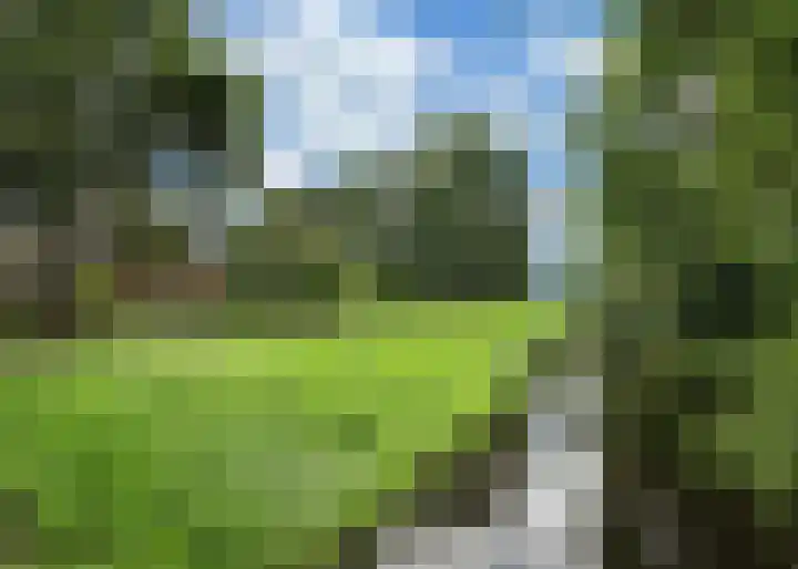 Lekerwaard 19 Alkmaar thumbnail 45