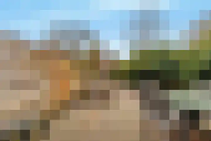 Lekerwaard 216 Alkmaar thumbnail 14