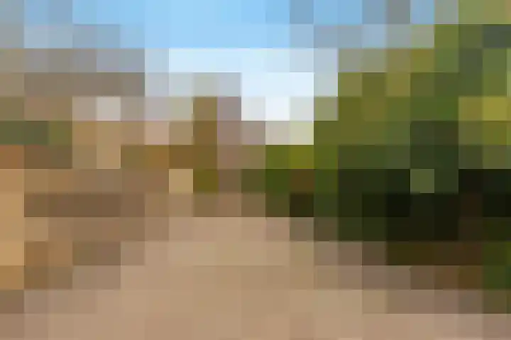 Lekerwaard 216 Alkmaar thumbnail 15