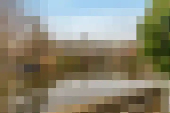 Lekerwaard 216 Alkmaar thumbnail 16
