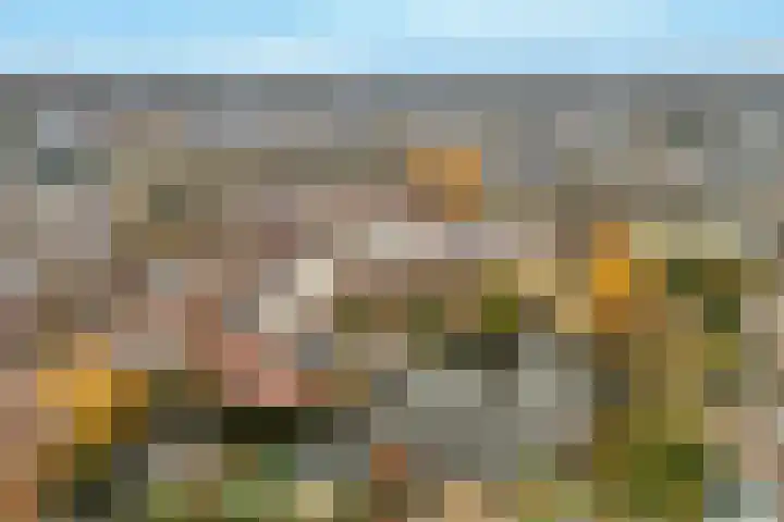 Lekerwaard 216 Alkmaar thumbnail 17