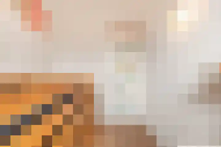 Lekerwaard 216 Alkmaar thumbnail 24