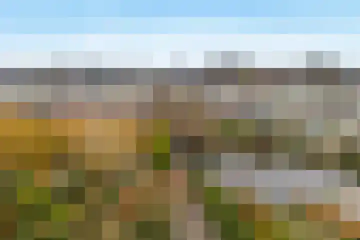 Lekerwaard 216 Alkmaar thumbnail 31