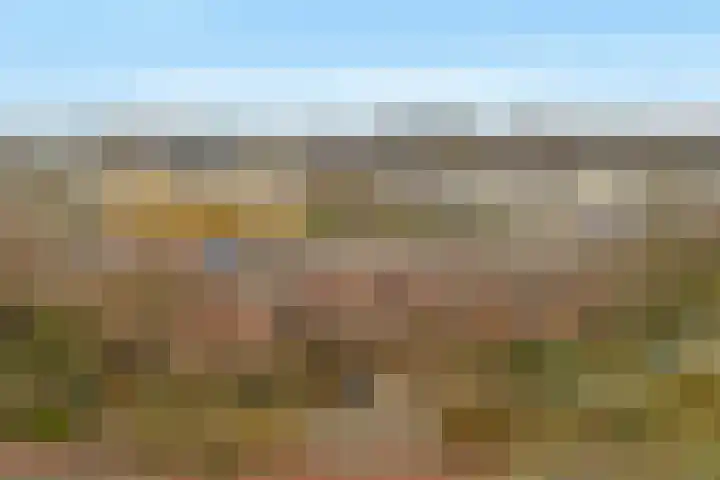 Lekerwaard 216 Alkmaar thumbnail 32
