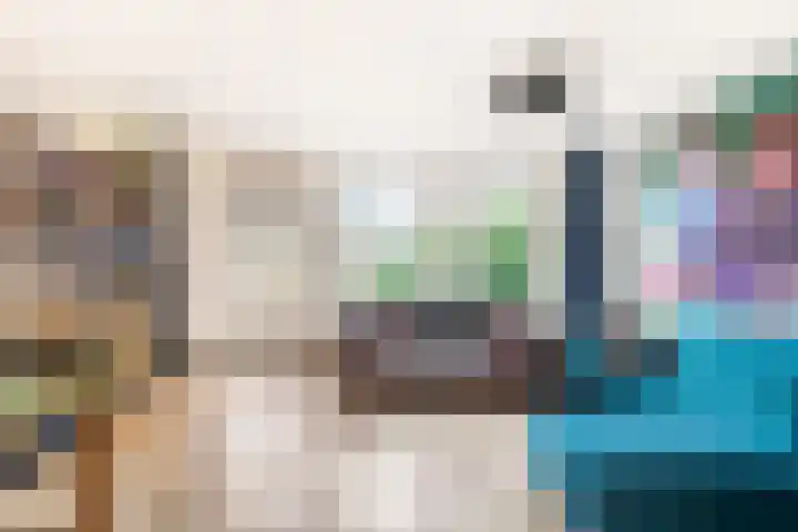 Lekerwaard 216 Alkmaar thumbnail 6
