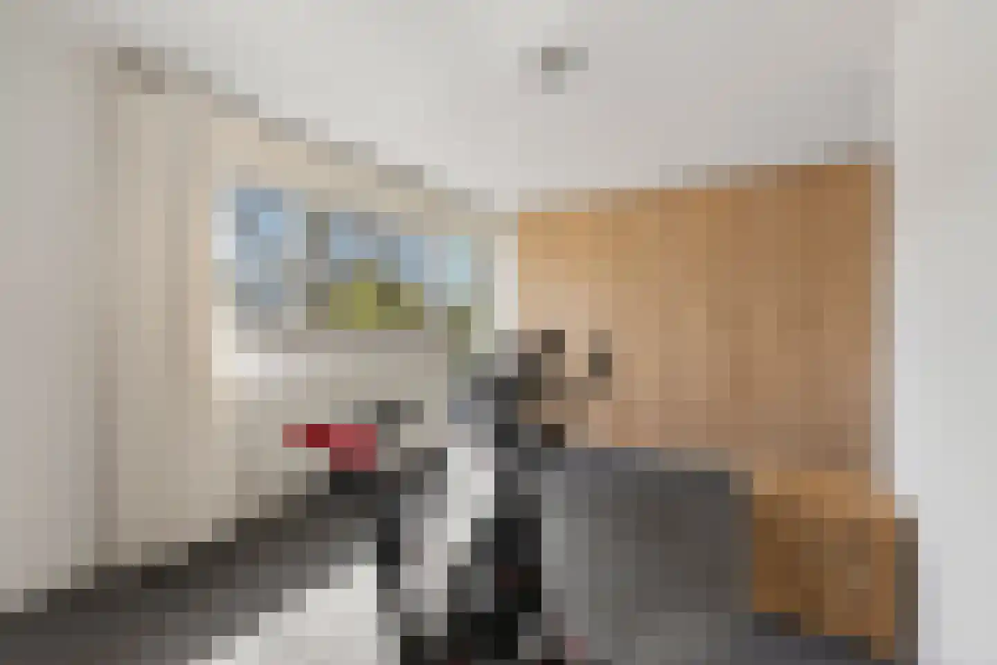 Lekerwaard 224 Alkmaar thumbnail 18