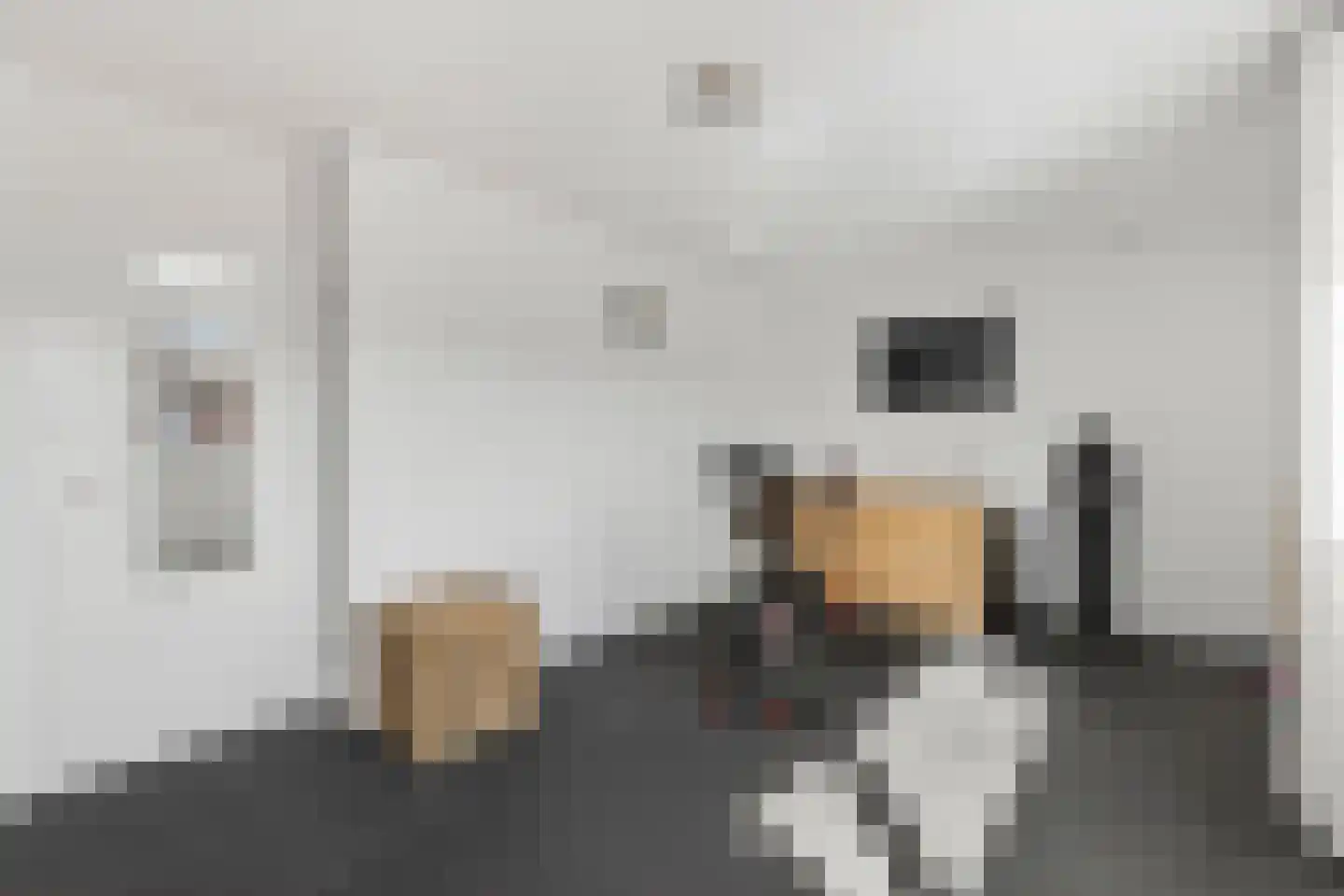Lekerwaard 224 Alkmaar thumbnail 20