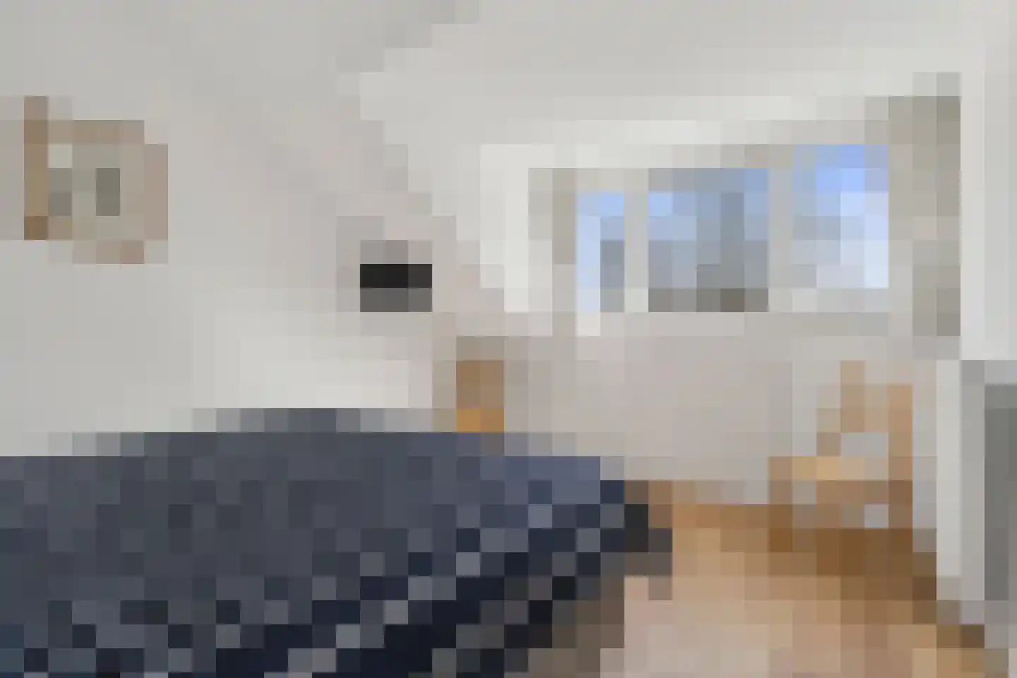 Lekerwaard 224 Alkmaar thumbnail 27