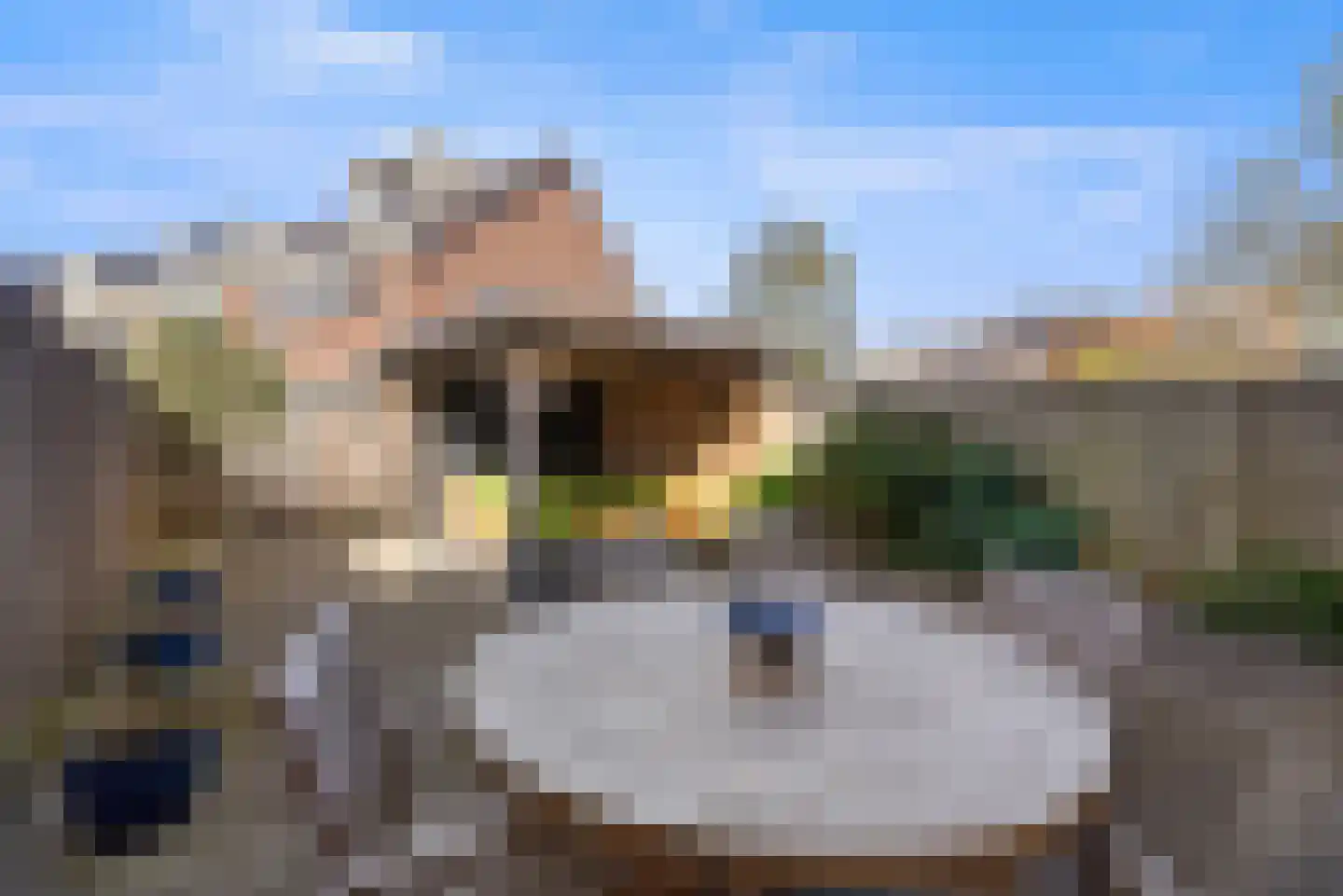Lekerwaard 224 Alkmaar thumbnail 28