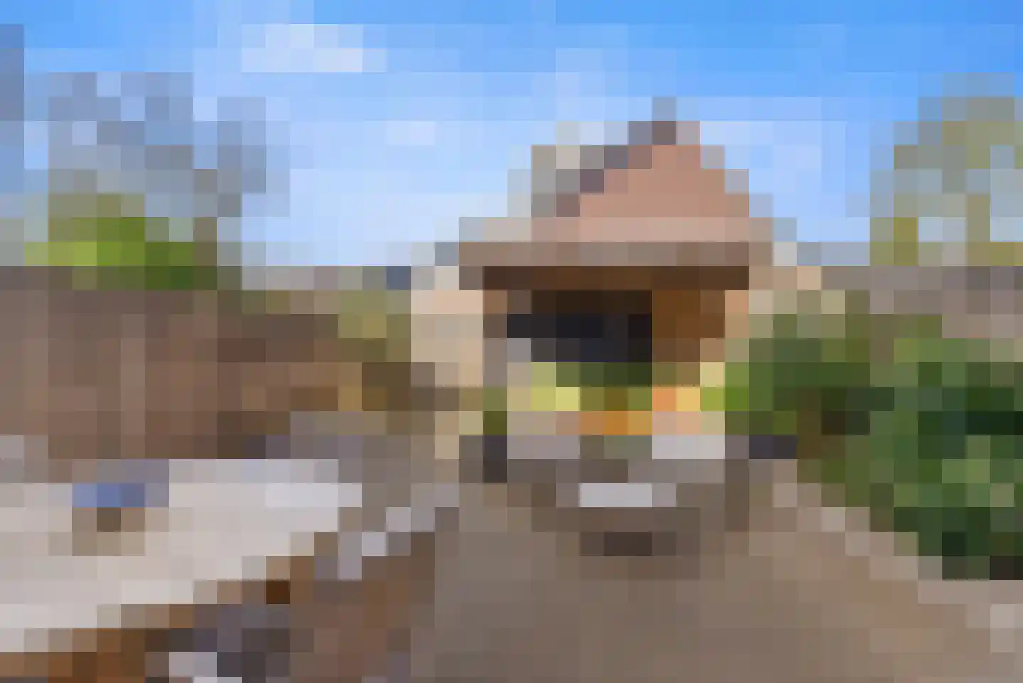 Lekerwaard 224 Alkmaar thumbnail 29