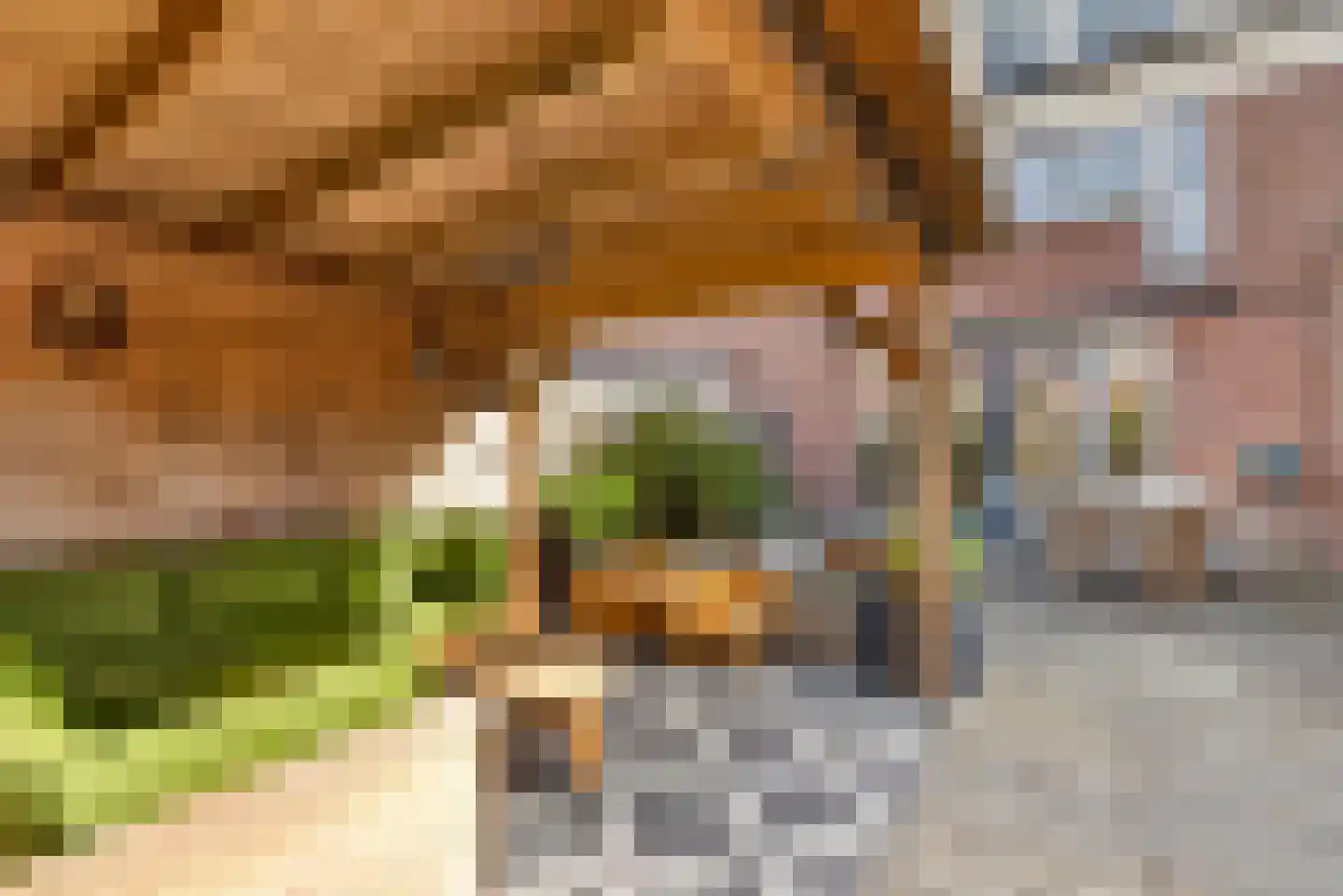 Lekerwaard 224 Alkmaar thumbnail 30