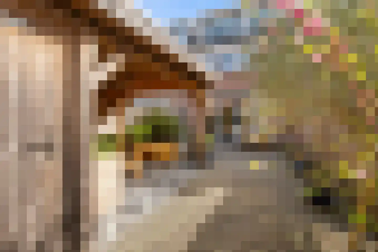 Lekerwaard 224 Alkmaar thumbnail 31