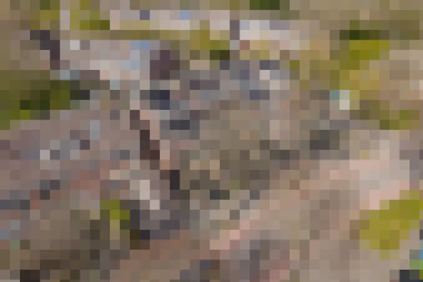 Lekerwaard 224 Alkmaar thumbnail 34