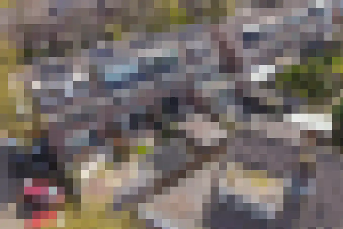 Lekerwaard 224 Alkmaar thumbnail 35