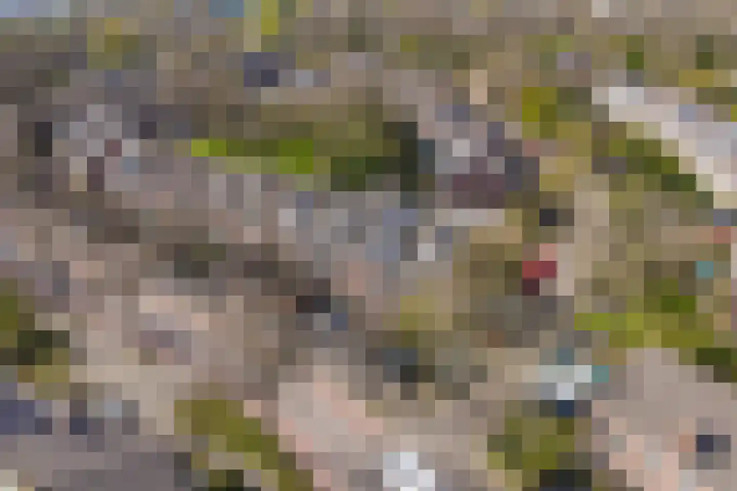 Lekerwaard 224 Alkmaar thumbnail 37