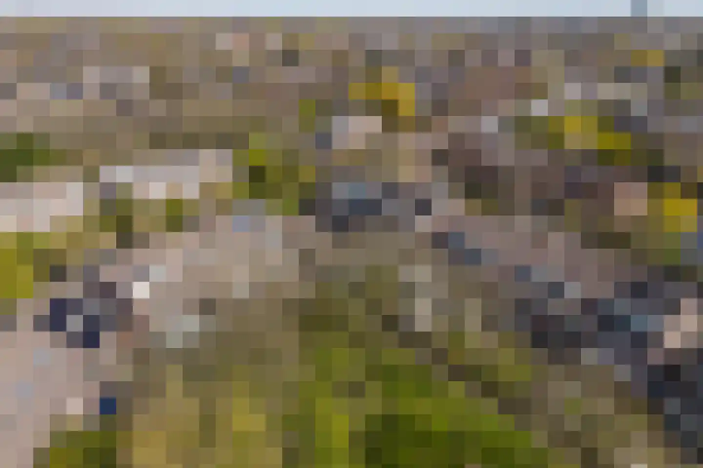 Lekerwaard 224 Alkmaar thumbnail 38