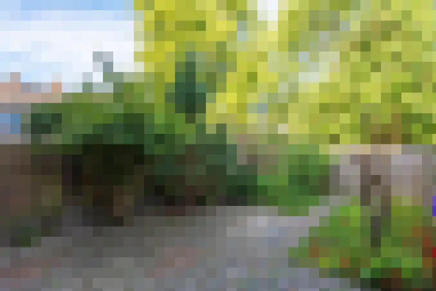 Lekerwaard 232 Alkmaar thumbnail 30