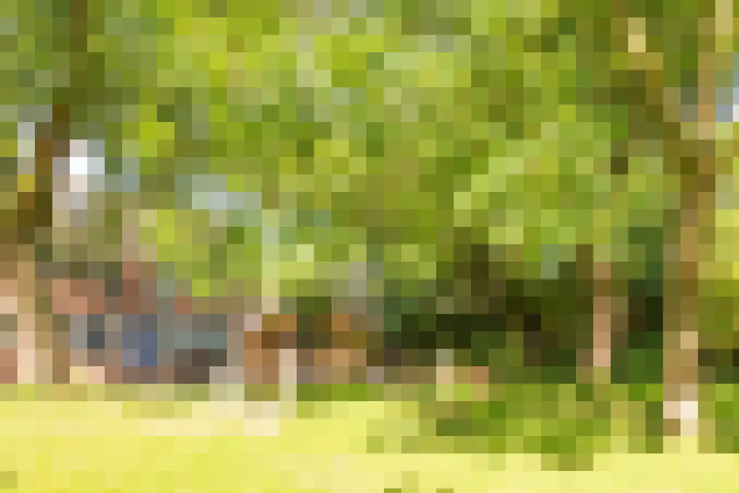 Lekerwaard 232 Alkmaar thumbnail 33