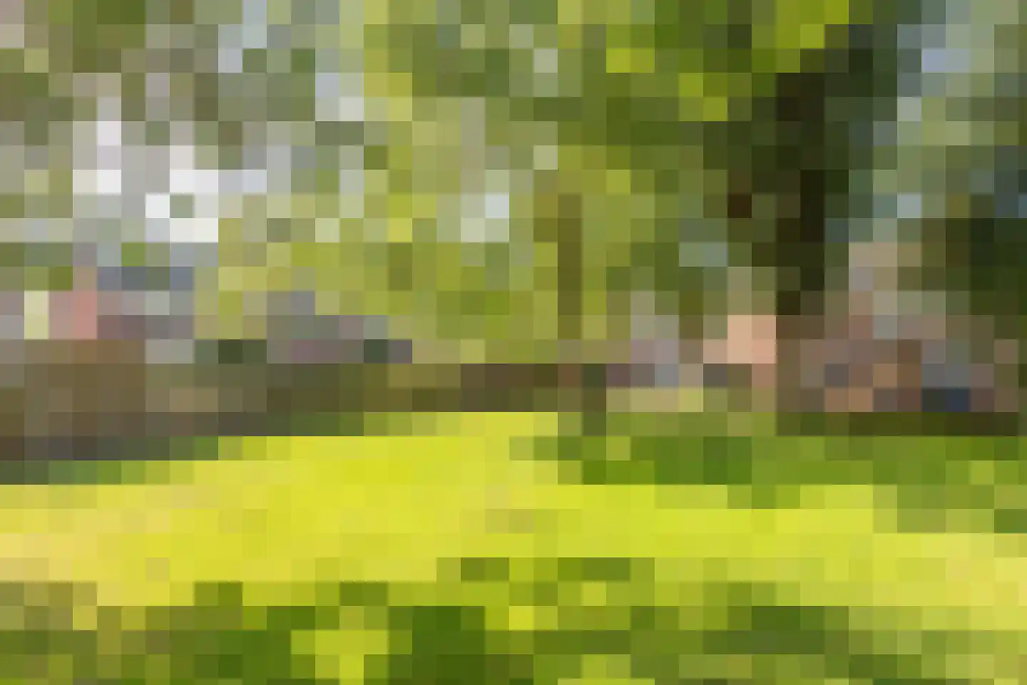 Lekerwaard 232 Alkmaar thumbnail 34