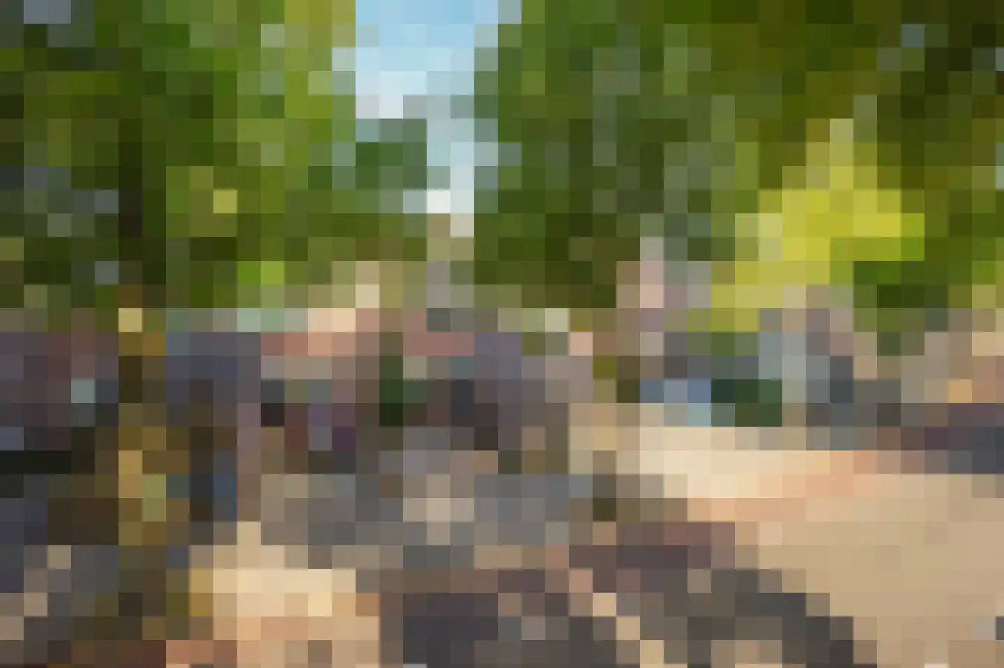 Lekerwaard 232 Alkmaar thumbnail 35