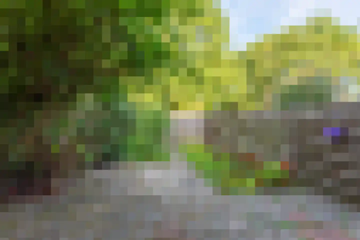 Lekerwaard 232 Alkmaar thumbnail 5