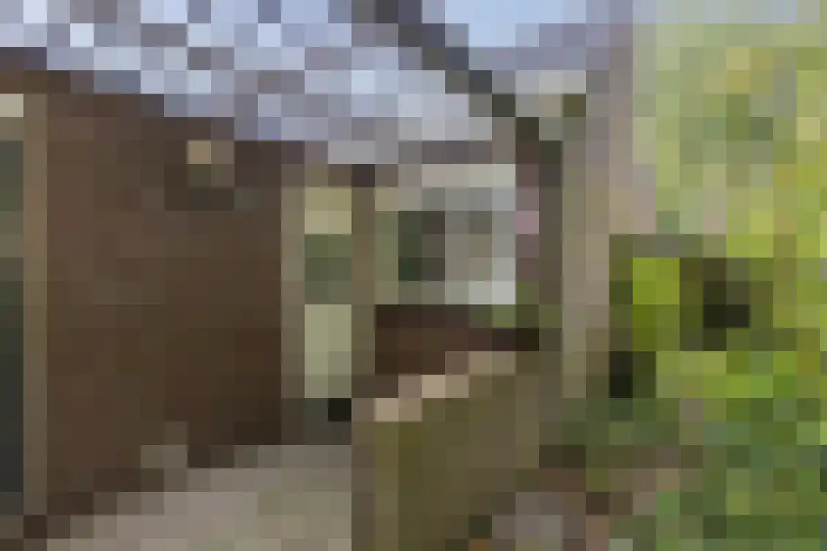 Lekerwaard 29 Alkmaar thumbnail 31