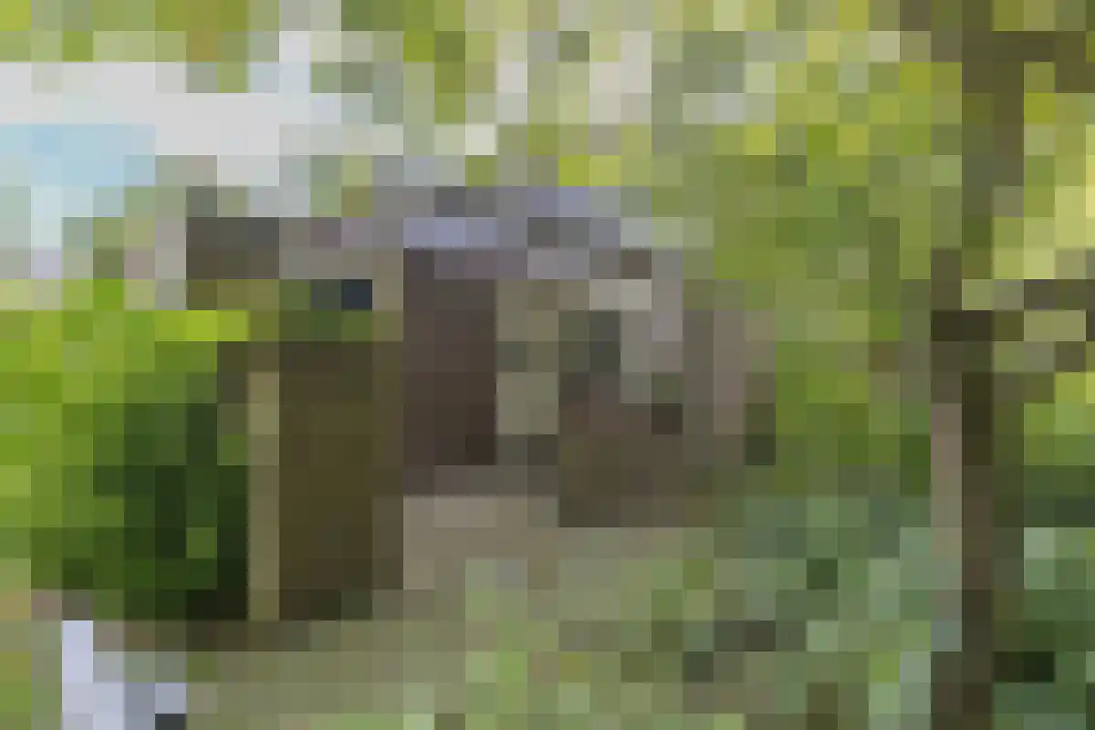 Lekerwaard 29 Alkmaar thumbnail 32
