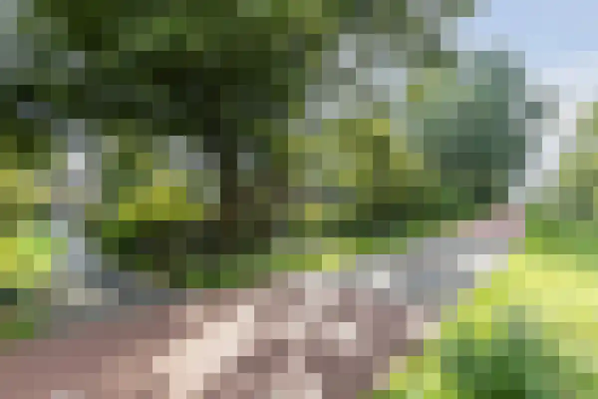 Lekerwaard 29 Alkmaar thumbnail 33