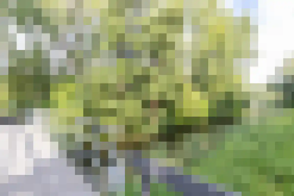 Lekerwaard 29 Alkmaar thumbnail 34