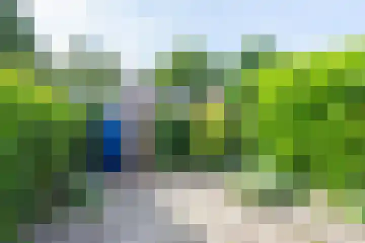 Lekerwaard 38 Alkmaar thumbnail 27