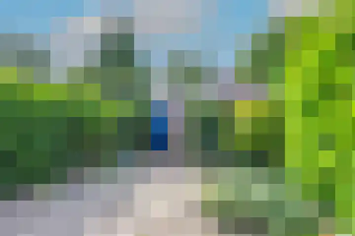 Lekerwaard 38 Alkmaar thumbnail 28