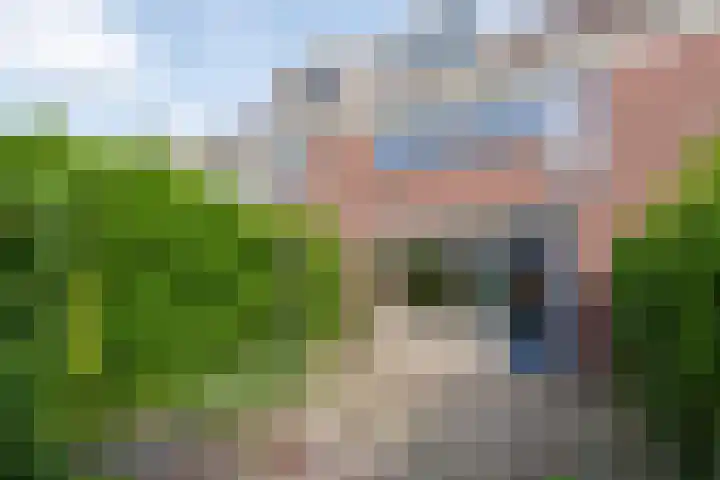 Lekerwaard 38 Alkmaar thumbnail 29