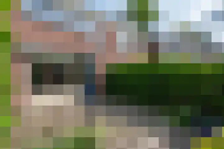 Lekerwaard 38 Alkmaar thumbnail 30