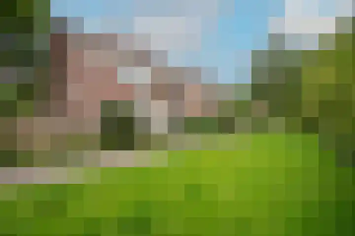 Lekerwaard 38 Alkmaar thumbnail 33