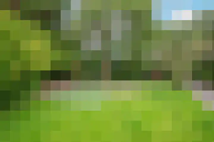 Lekerwaard 38 Alkmaar thumbnail 34