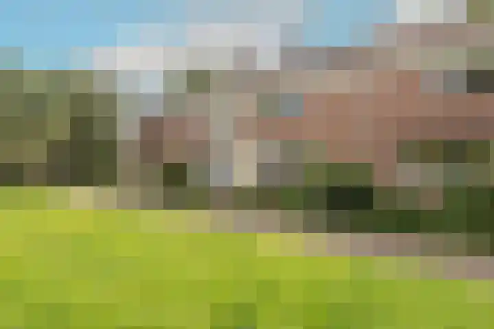 Lekerwaard 38 Alkmaar thumbnail 4
