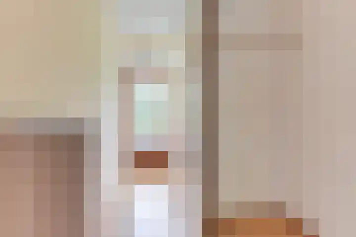 Lekerwaard 38 Alkmaar thumbnail 5