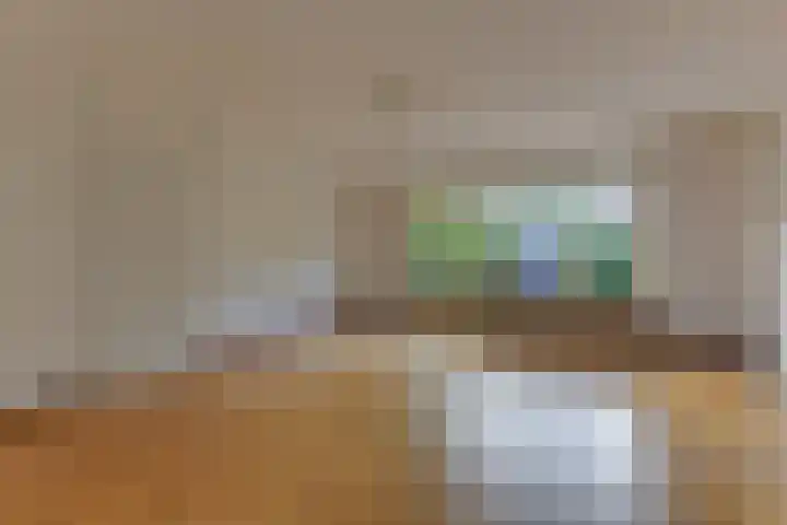 Lekerwaard 38 Alkmaar thumbnail 8