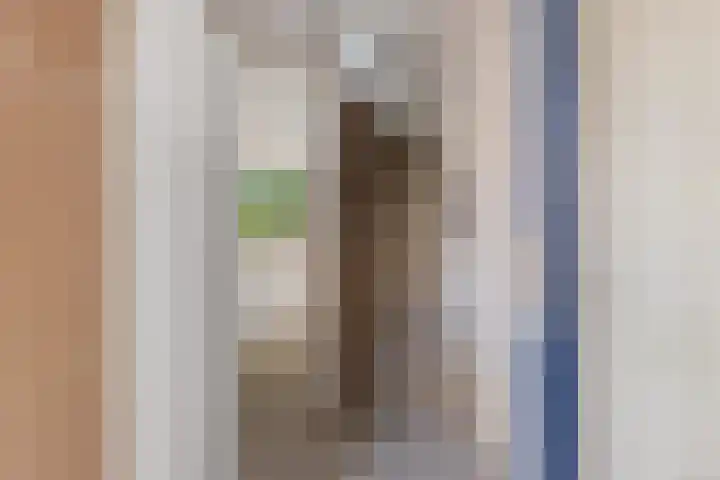 Lekerwaard 50 Alkmaar thumbnail 11