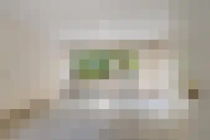 Lekerwaard 50 Alkmaar thumbnail 14