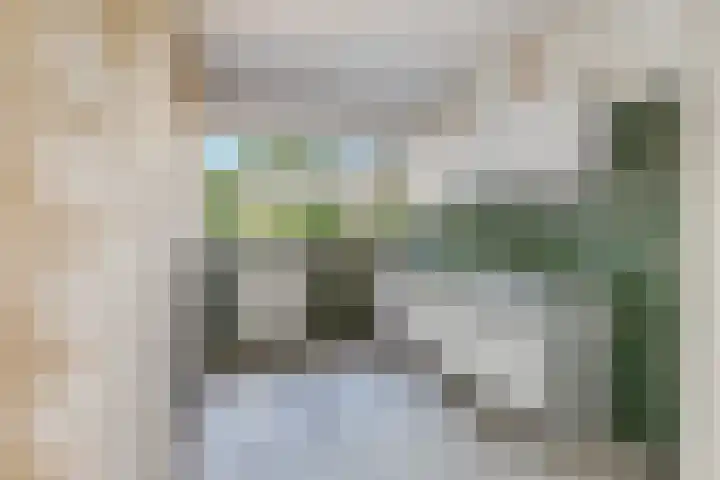 Lekerwaard 50 Alkmaar thumbnail 18