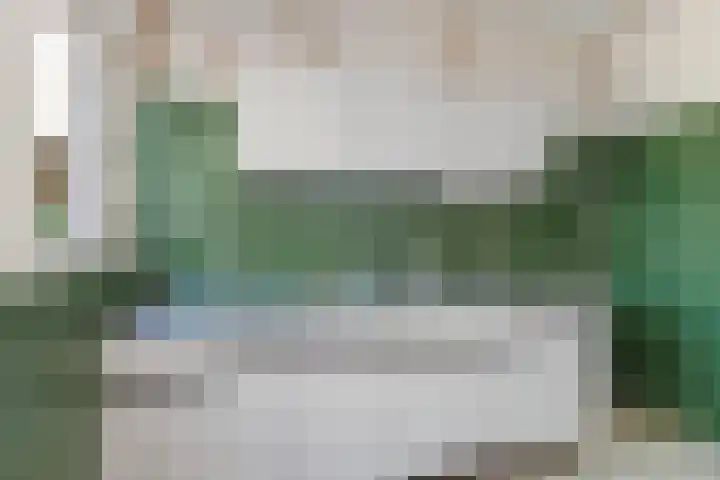 Lekerwaard 50 Alkmaar thumbnail 19