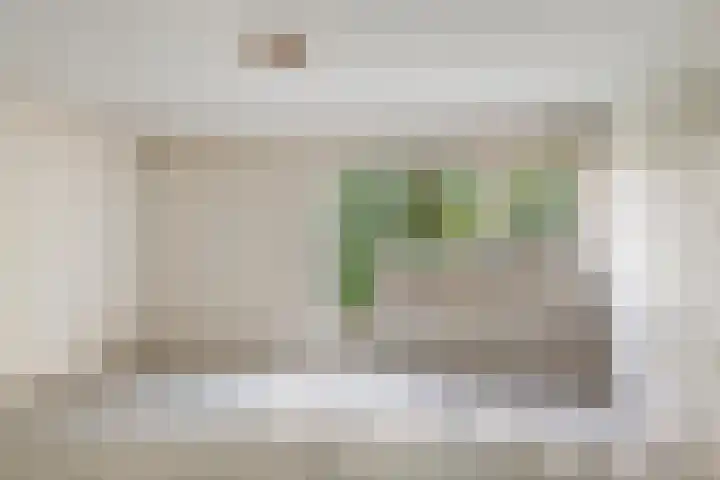 Lekerwaard 50 Alkmaar thumbnail 27