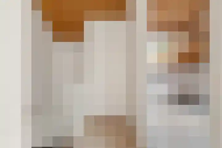 Lekerwaard 50 Alkmaar thumbnail 32