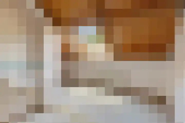 Lekerwaard 50 Alkmaar thumbnail 36