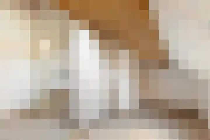 Lekerwaard 50 Alkmaar thumbnail 37