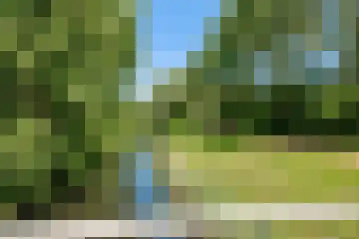 Lekerwaard 50 Alkmaar thumbnail 44