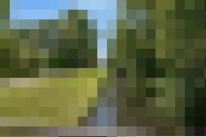 Lekerwaard 50 Alkmaar thumbnail 45