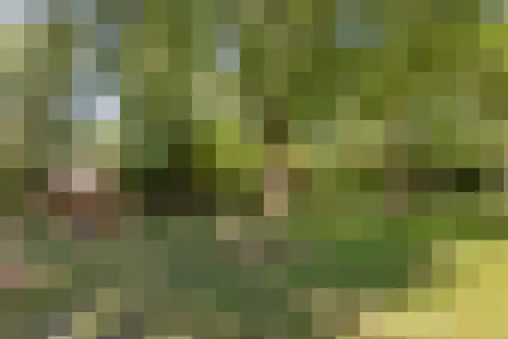 Lekerwaard 50 Alkmaar thumbnail 46