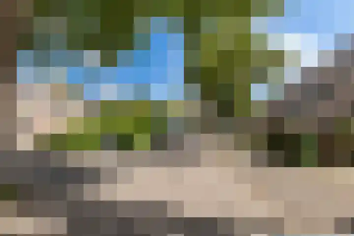 Lekerwaard 50 Alkmaar thumbnail 6
